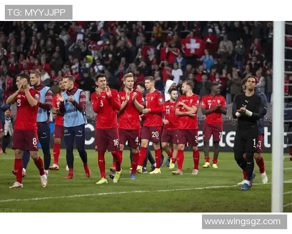 比利时与爱尔兰对决分析球队状态战术布局及球员表现全解析