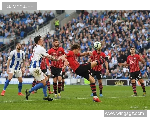 莱切城主场迎战布赖顿双方争夺英超宝贵积分的激烈对决